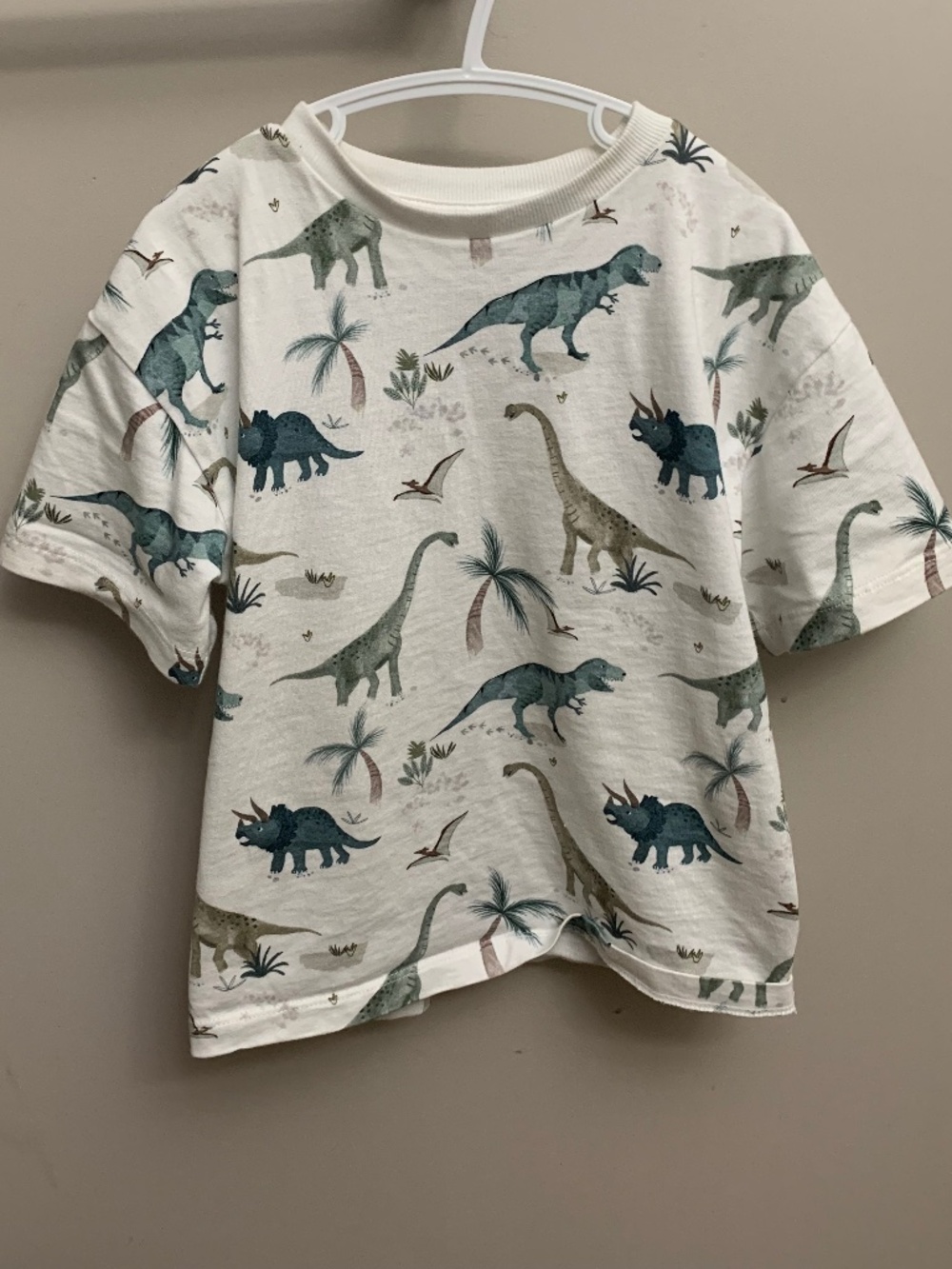 NEXT Dino Tee  💛2 for 10 💛